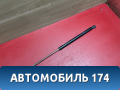 Амортизатор двери багажника 8180065830 Suzuki Grand Vitara (JT) 2005-2016 Гранд Витара