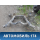 Балка задняя 95533103040 Porsche Cayenne 2003-2010 Кайен